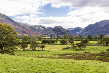 Fototapeta premium A view towards Crummock Water in the English Lake District from near Loweswater, Cumbria UK