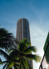 Fototapeta na wymiar modern office building palms Miami Florida tropical 