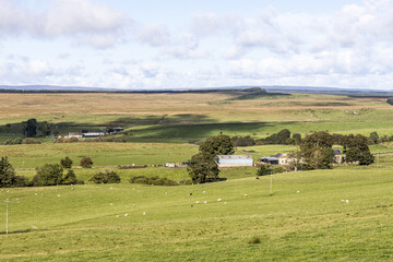 The remote upland farms of Cairny Croft and Low Old Shields on the Pennines near Greenhead, Northumberland UK
