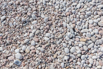Small stone texture for background. High quality photo