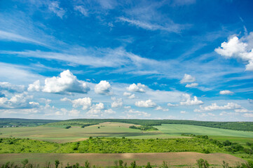 Fototapeta premium Summer landscape and white clouds over green fields