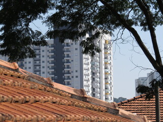 roof of the house