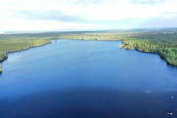 lake in the forest