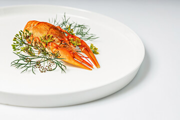 Close-up boiled orange crayfish with dill on a white plate on a white plate. Cooked freshwater delicious crayfish with aromatic dill and spices. Blank for the menu. Organic wild food. Copy space
