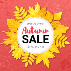 Autumn red discount banner with yellow leaves