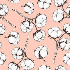Cotton hand drawn seamless pattern, sketch style. Vintage vector illustration. Design template. Drawn with ink. Engraving style. Cotton illustration.