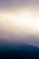 vertical image with four diffuse levels of contrast levels with a foggy view of the forested mountain