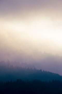 vertical image with four diffuse levels of contrast levels with a foggy view of the forested mountain