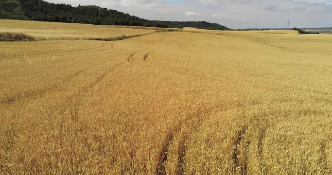 Tierra de campos 