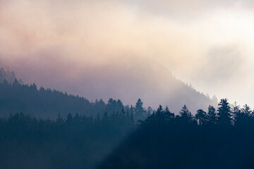 Sun rays streak three levels of misty mountain forests in autumn