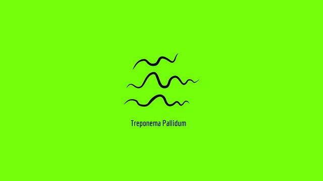 Treponema Pallidum icon animation
