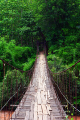 Jungle Wooden Bridge