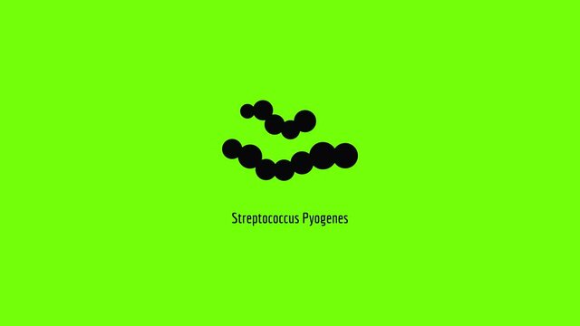 Streptococcus pyogenes icon animation