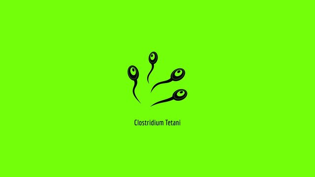 Clostridium tetani icon animation