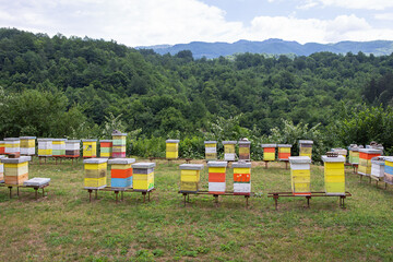 Colored beehives in a meadow in the countryside of Montenegro. Apiary, beekeeping in Europe.