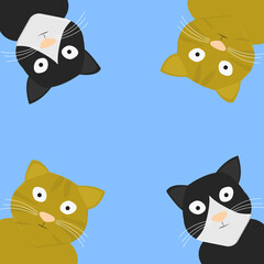 group of cats on light blue background