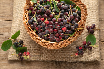 basket with amelanchier berry on a wooden background