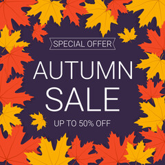 Autumn sale banner with leaves on dark background. 