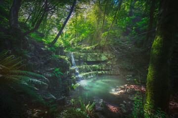 Stream waterfall inside a forest. Chianni, Tuscany, Italy.