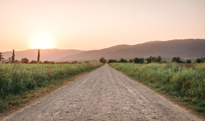 Fototapeta na wymiar Dirt road through fields during sunset