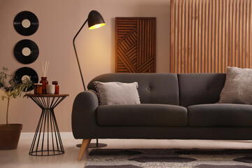 Stylish living room interior with comfortable dark sofa