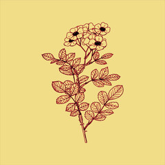 Hand drawn of Vintage plant Free download It`s perfect for fabrics, t-shirts, mugs, decals, pillows, logo, social media pattern and much more!
