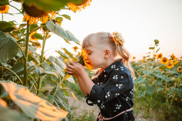 little cute 4 years girl at sunflowers field on sunset