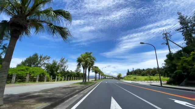 OKINAWA, JAPAN - JUNE 2021 : Wide camera, point of view (POV), seaside road driving shot. Palm trees and blue sunny summer sky. Relaxing holiday, vacation and adventure journey travel concept shot.