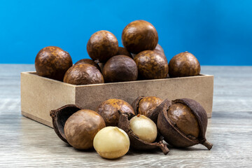 Close-up of macadamia nut with selective focus on the wooden table in Brazil