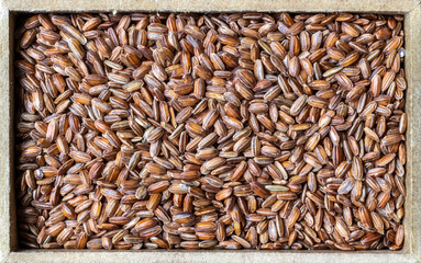 Close-up of red integral rice with selective focus on the wooden table in Brazil