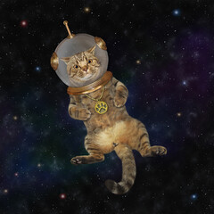A beige cat astronaut wearing a space suit is in outer space. - 446306638