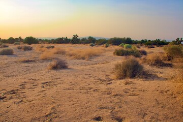 Beautiful California Desert Landscape Taken During The Evening Golden Hour