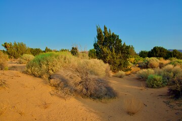 Beautiful California Desert Landscape Taken During The Evening Golden Hour