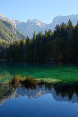 Fototapeta na wymiar Bergsee mit grünem Wasser vor Nadelbäumen und Bergen und Spiegelung Hochformat