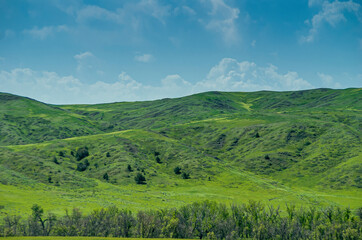 Badlands National Park, SD, USA - June 1, 2008: Intense green hills and prairie under blue cloudscape at SW entrance to park.