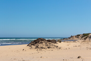 Beach landscape with fine sand, clear waters and plants. Dunes. Virgin beach.