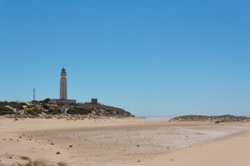 Fototapeta na wymiar Beach landscape with lighthouse in the background.
