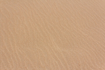 Fototapeta na wymiar Texture of fine beach sand. Background.