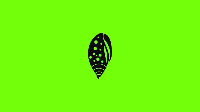 Sea shell icon animation