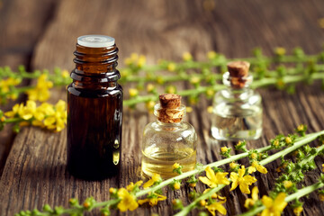 A bottle of aromatherapy essential oil with fresh agrimony flowers