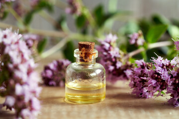 Obraz na płótnie Canvas A bottle of aromatherapeutic essential oil with oregano flowers