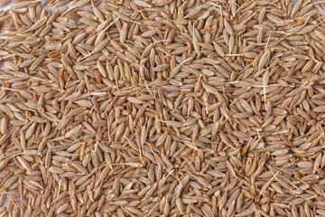Cumin seed,Indian spices ;arranged on a white textured background which is mainly used for indian foods and traditional medicins.Textures of colorful spices and condiments.