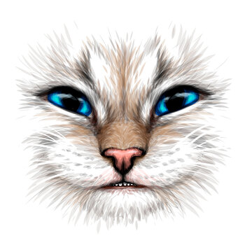Happy Cat. Creative design. Color portrait of a smiling cat with blue eyes close-up on a white background. Digital vector graphics