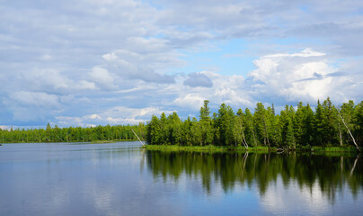 summer river green forest in the distance blue sky beautiful landscape