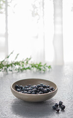 sweet fresh blueberries in a bowl with a green branch on the table against the background of the window in the morning light. Copy space