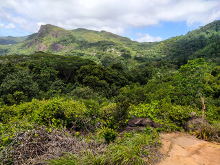 Mountain among jungle