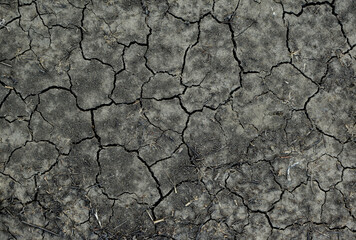  Arid soils under the scorching sun. World drought. Agriculture problems