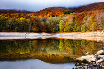 Colorful autumn forest landscape in Montseny in Barcelona, with its ocher, orange, brown, red, yellow and green colors. Forest reflected in the lake