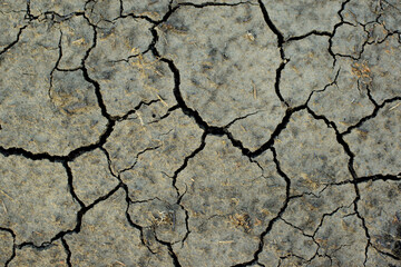 Arid soils under the scorching sun. World drought. Agriculture problems