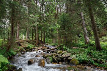 beautiful mountain waterfall with trees in the background